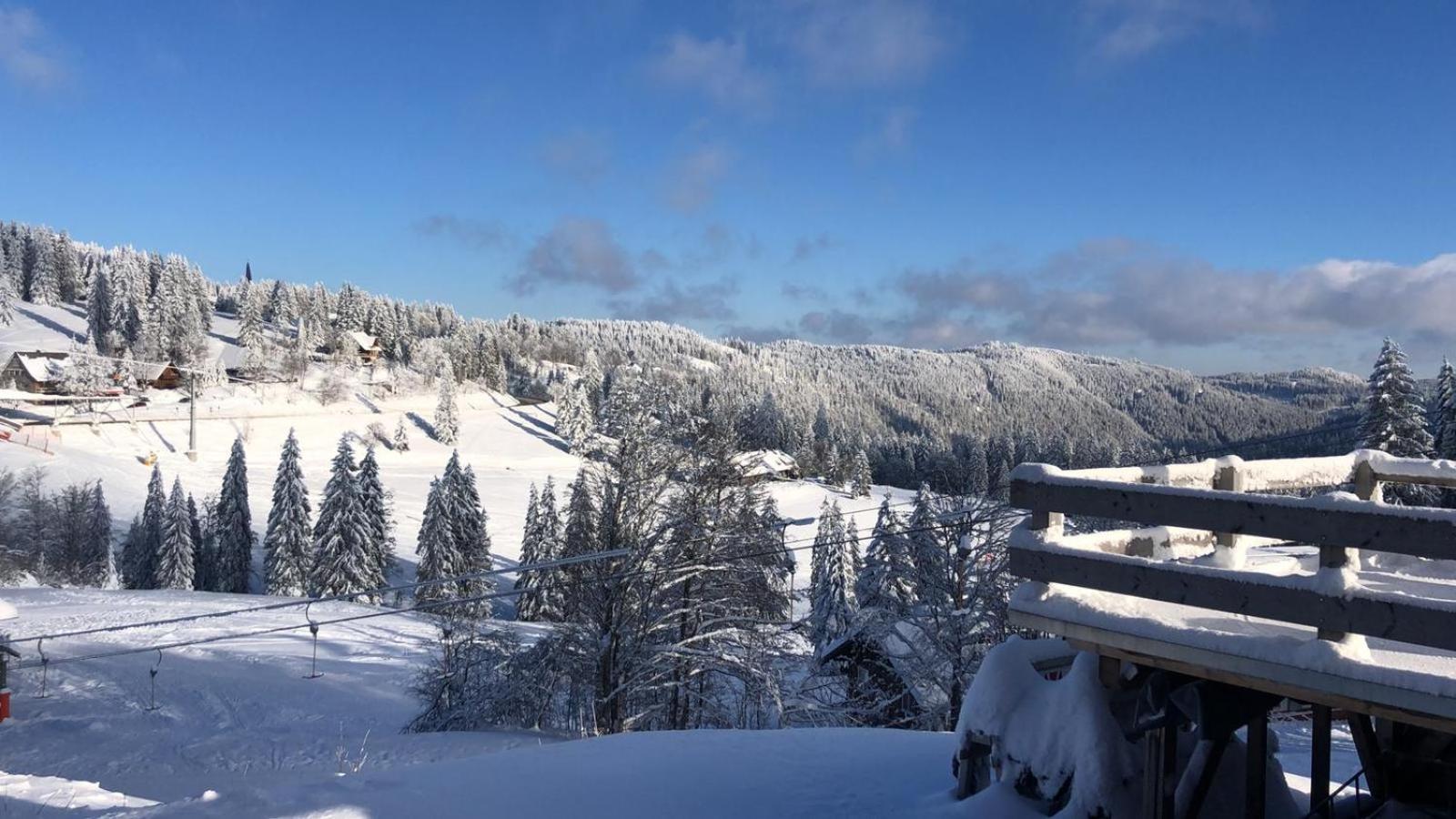 Ferienwohnung Feldberg Schwarzwald