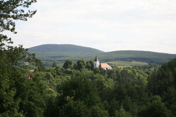 Photo 41