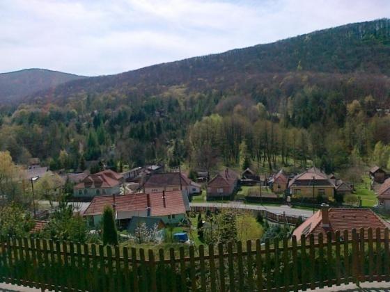 Photo 42