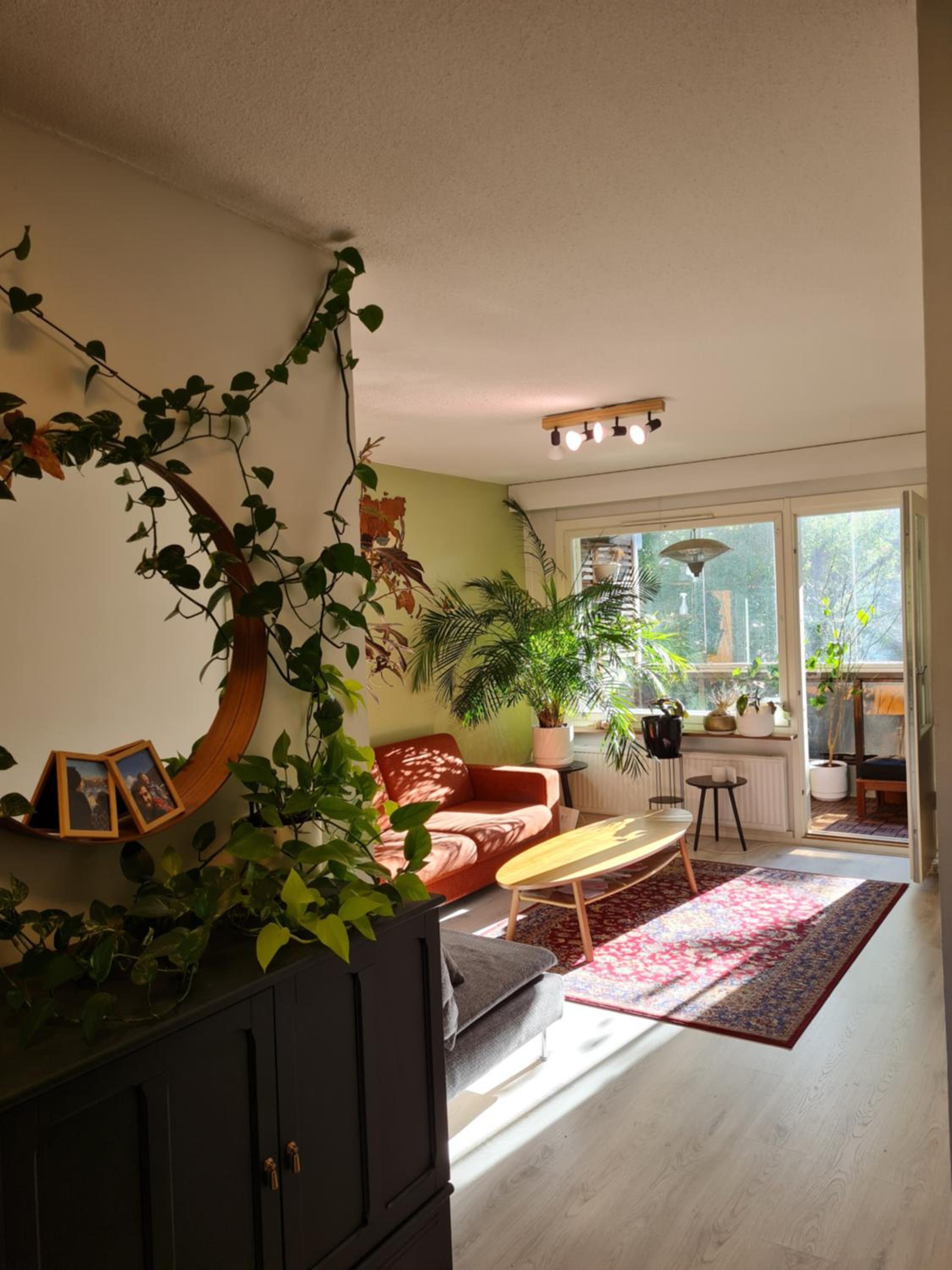Paradise apartment