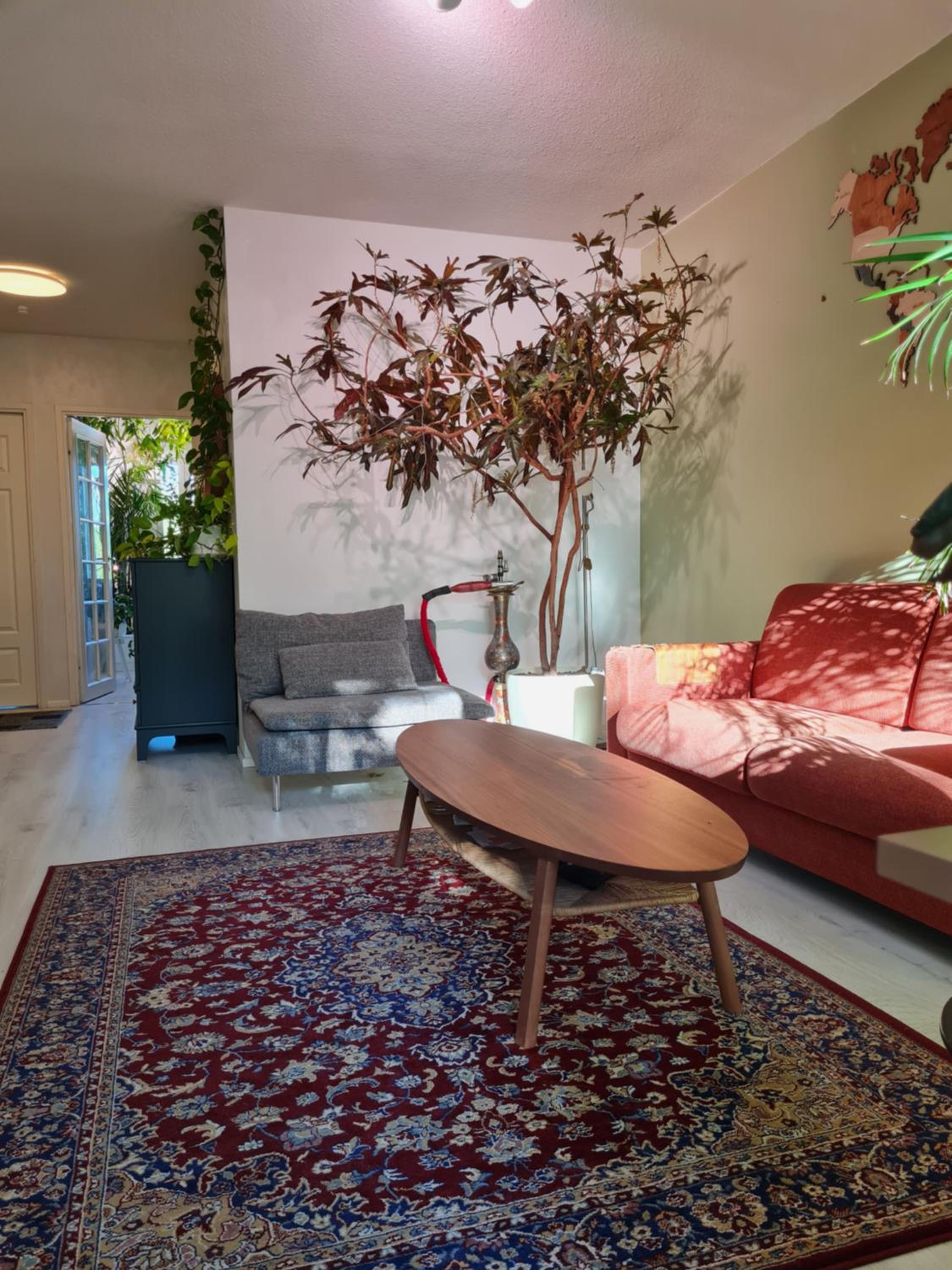 Paradise apartment