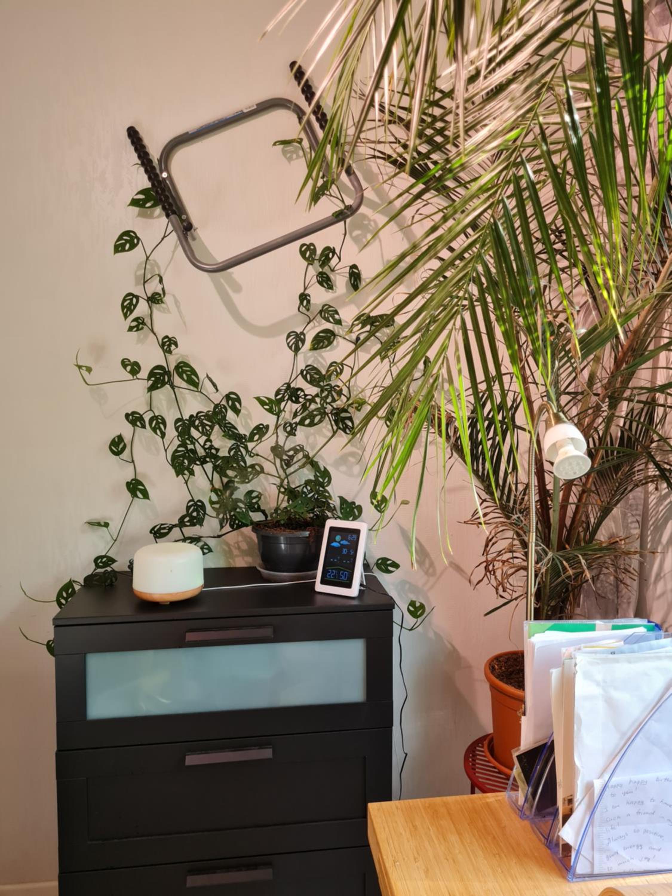 Paradise apartment