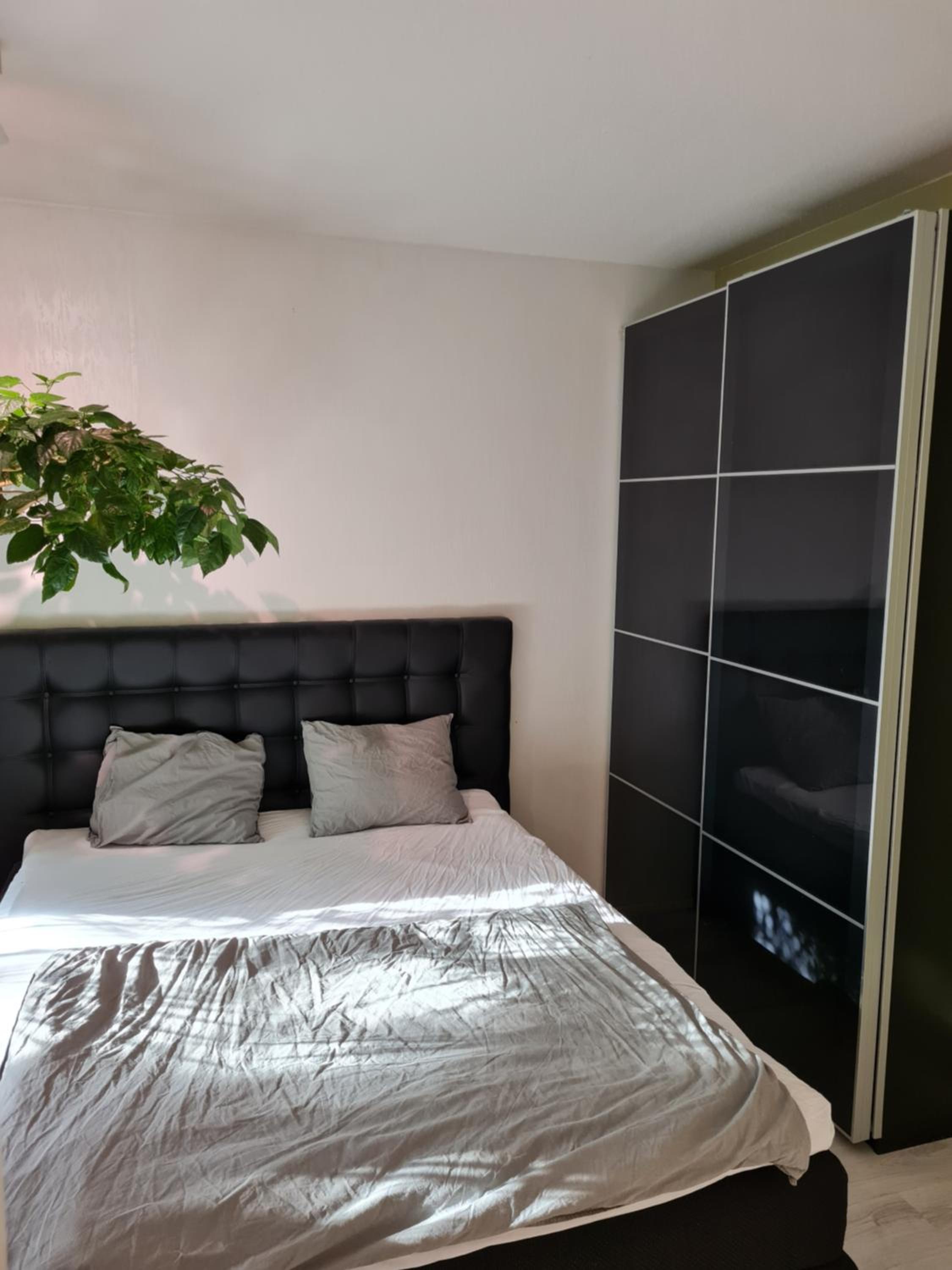 Paradise apartment