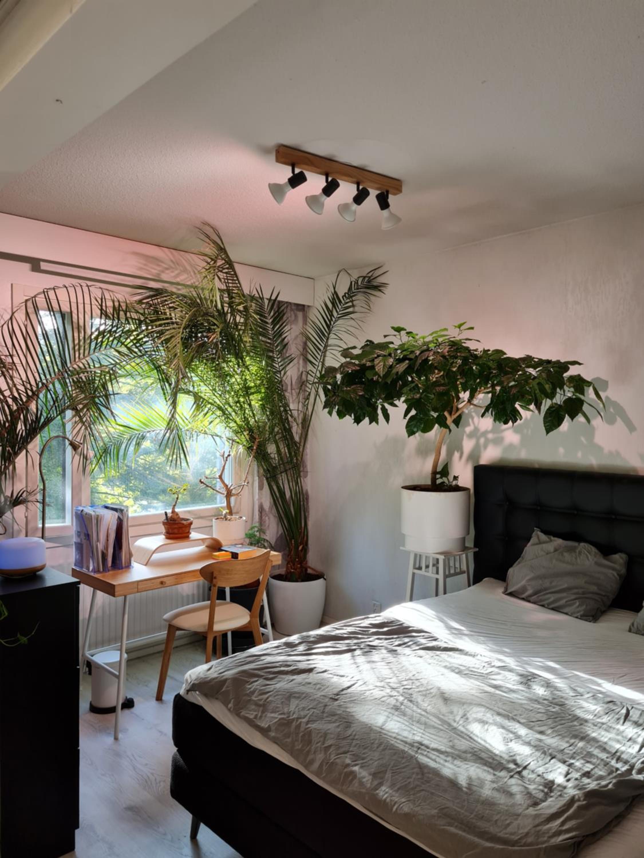 Paradise apartment, photo 13