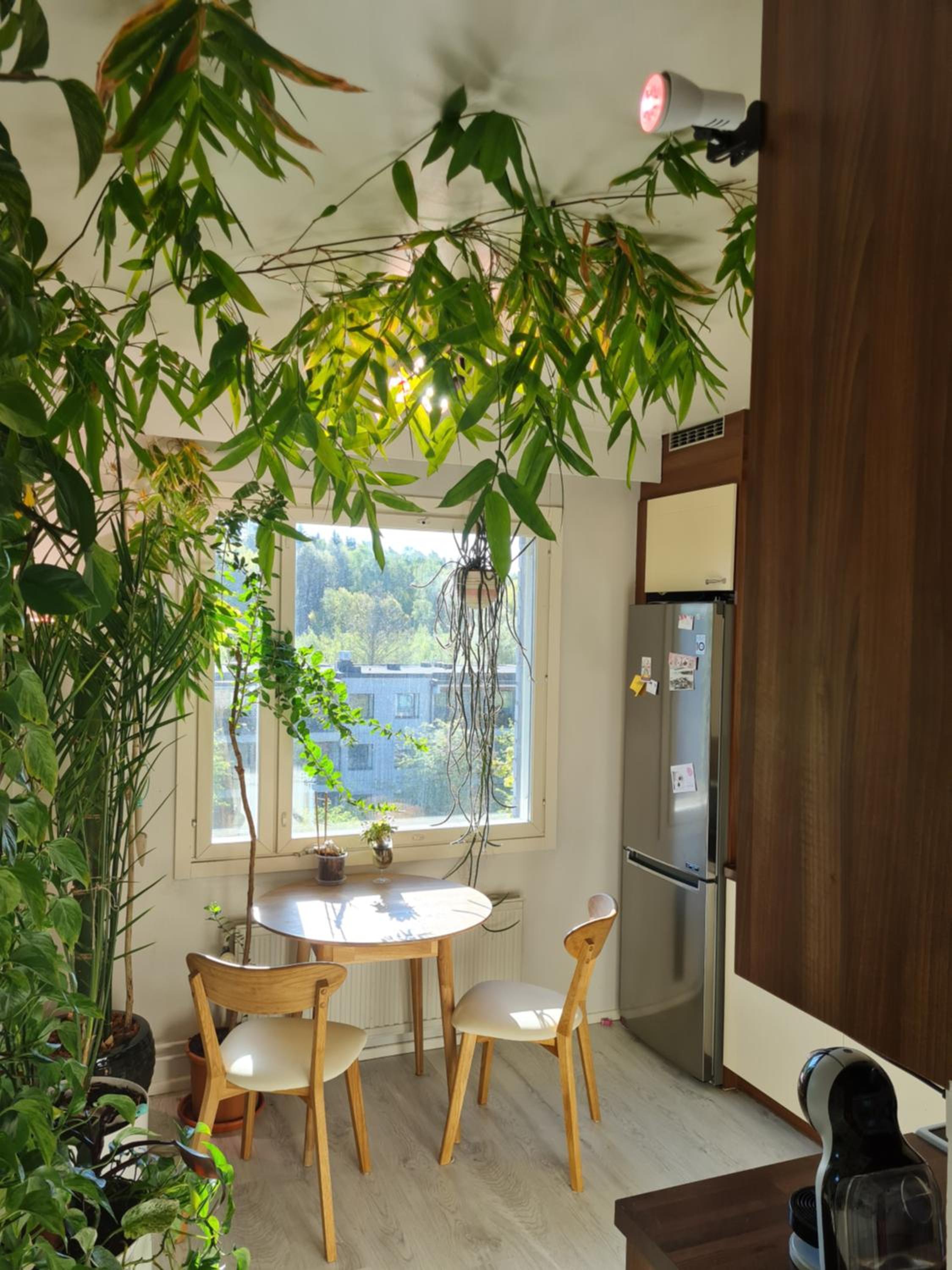 Paradise apartment en Vantaa