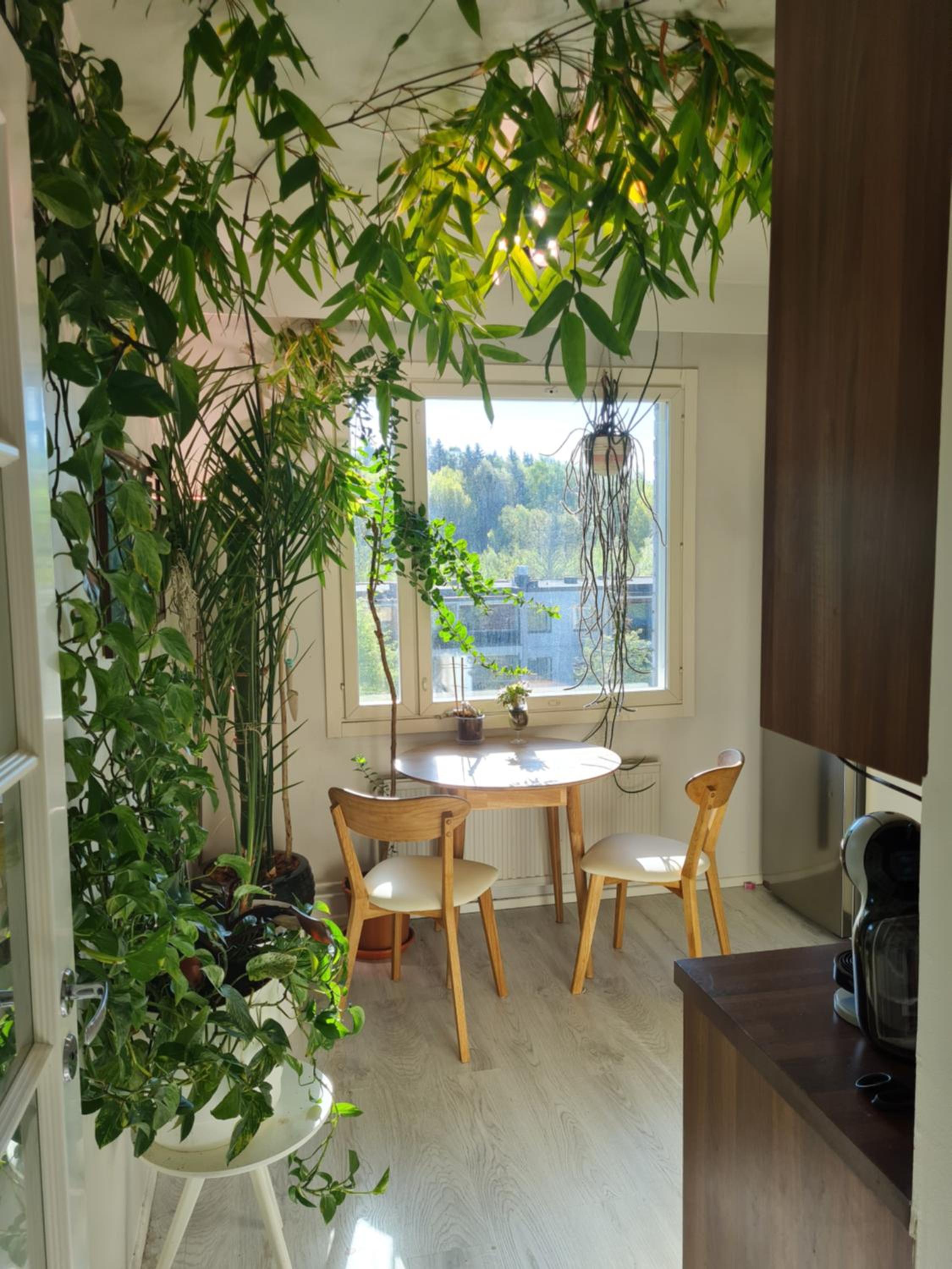 Paradise apartment