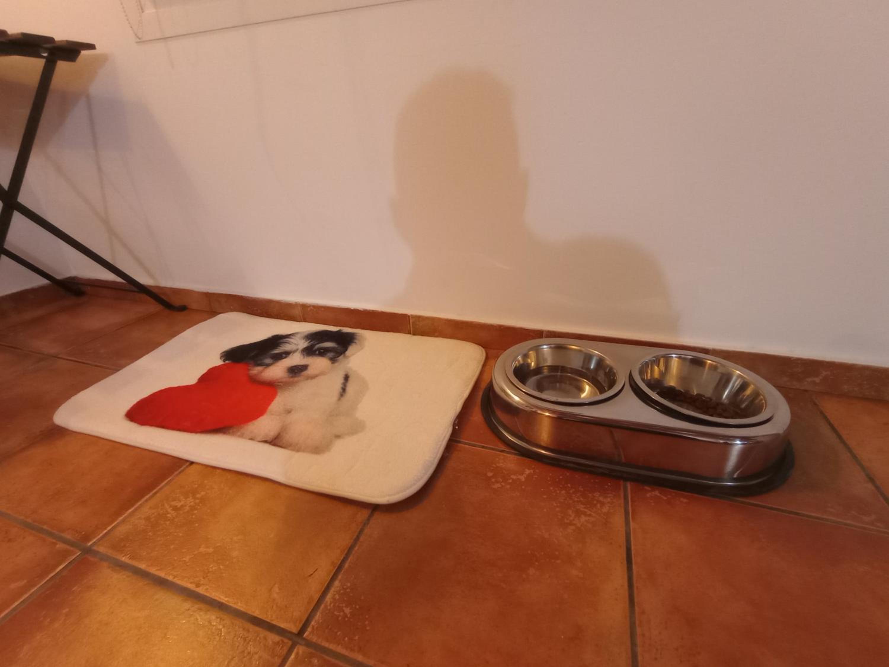 Casa de Campo Los Manueles Ideal Perros Pet Friendly