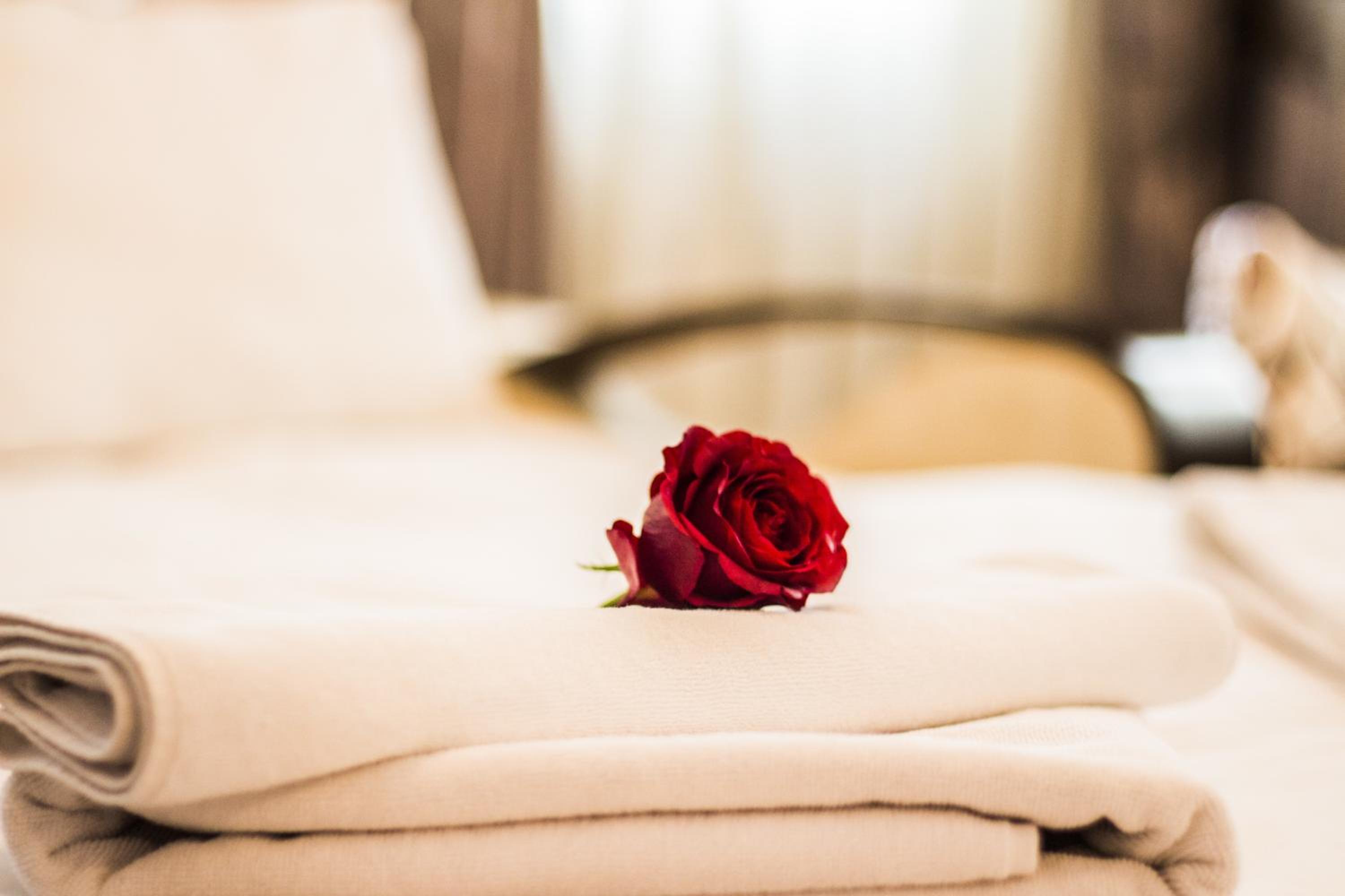 Feyza Apart - Image 45