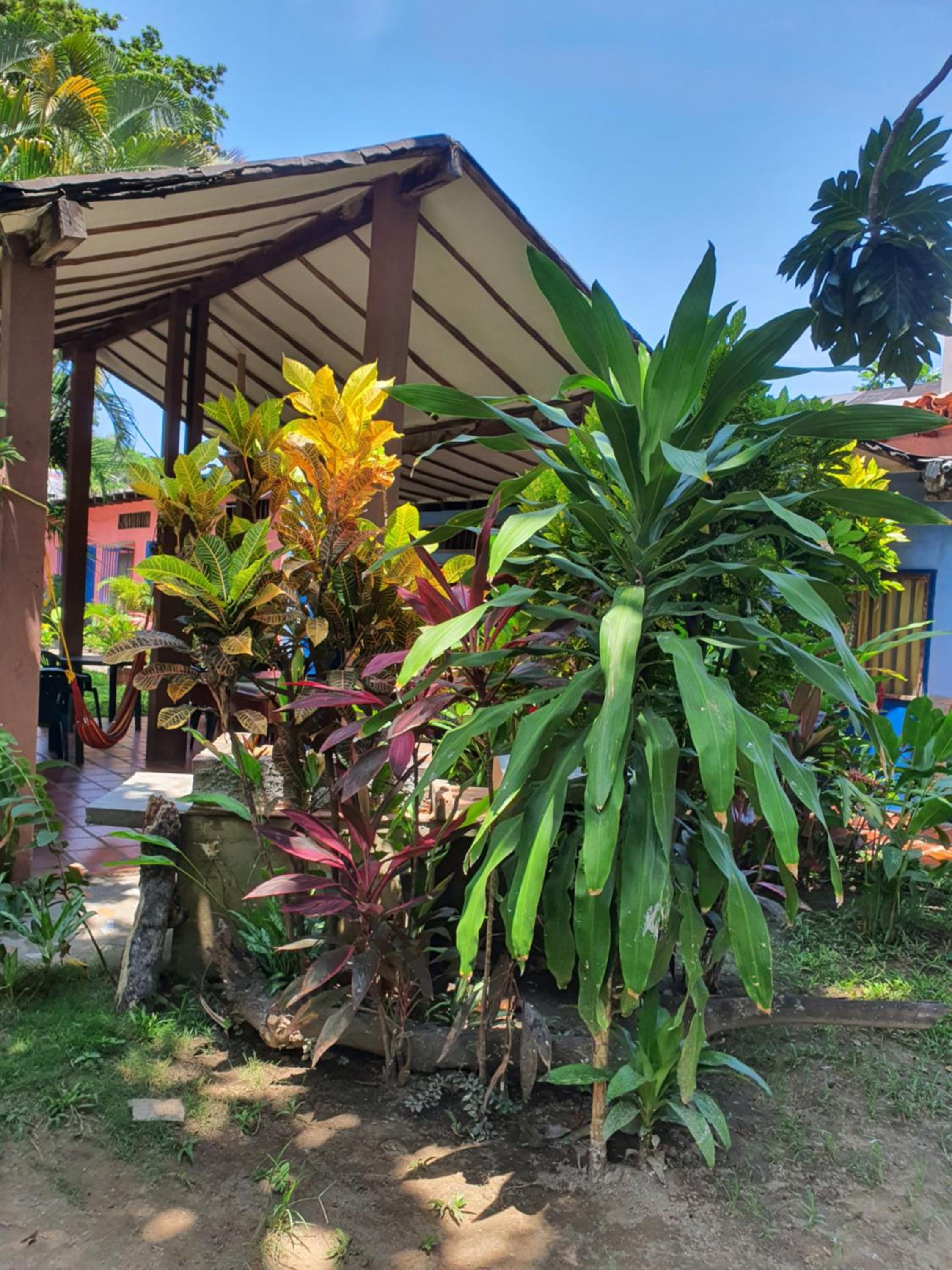 Hostal Nova Colonial