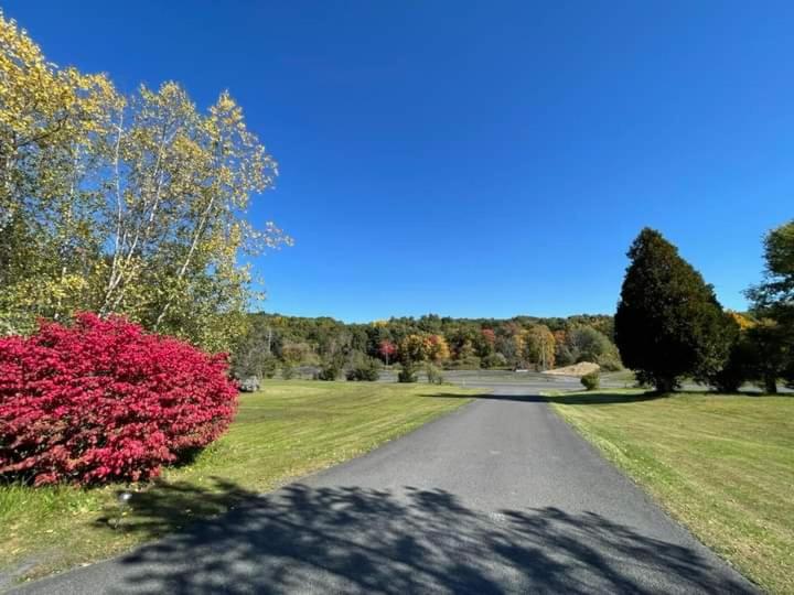 Elm Tree Motel