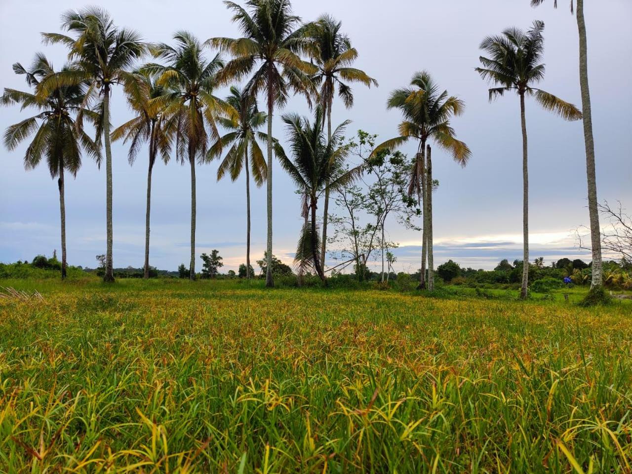 Wanna Homestay