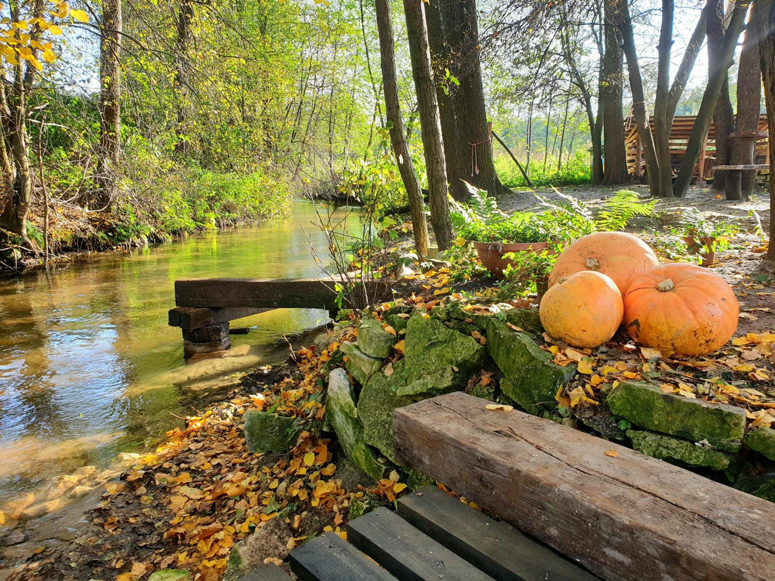 Jurajska Sielanka - domek nad rzeczką view 3
