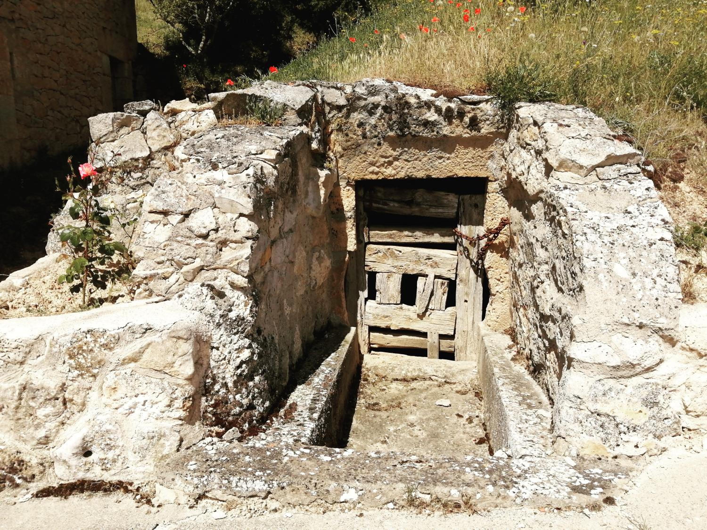 Photo 18