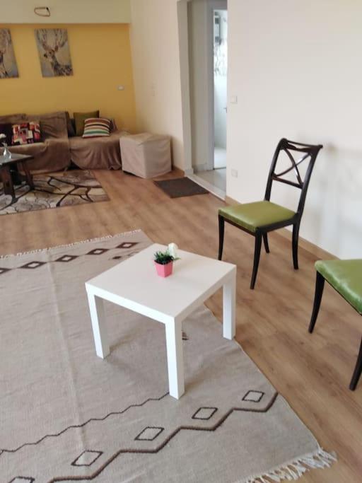 ZED PARK VIEW Top Roof Apartment Sheikh Zayed