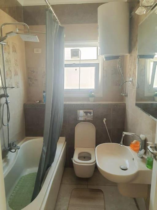 ZED PARK VIEW Top Roof Apartment Sheikh Zayed