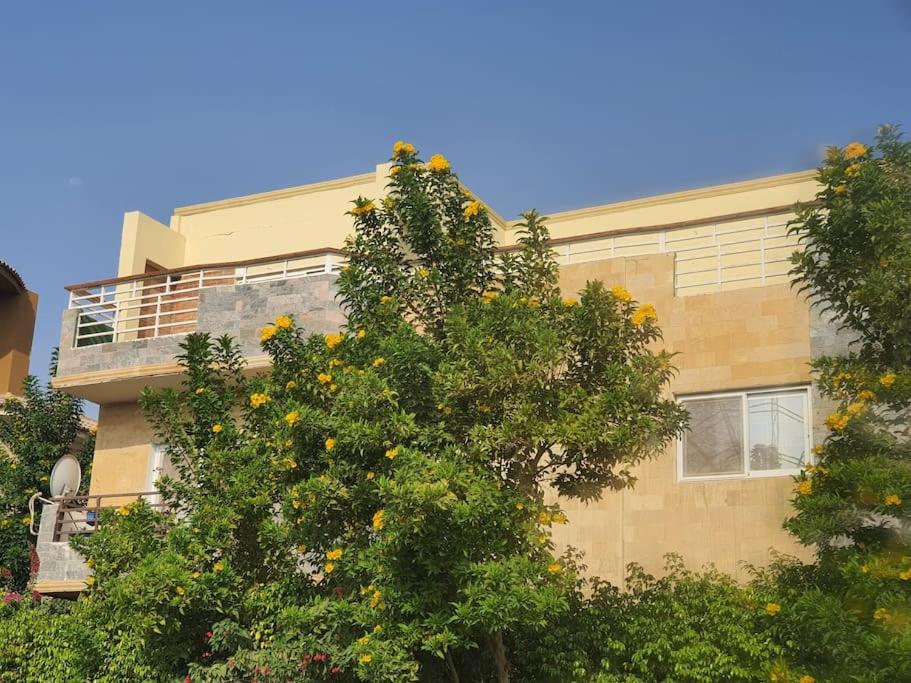 ZED PARK VIEW Top Roof Apartment Sheikh Zayed