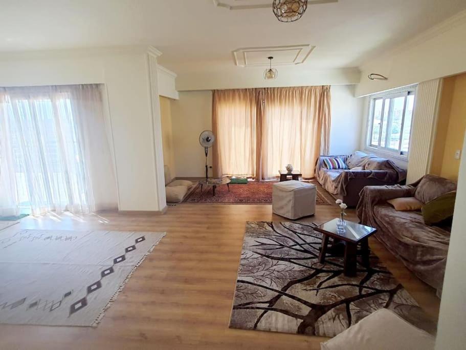 ZED PARK VIEW Top Roof Apartment Sheikh Zayed
