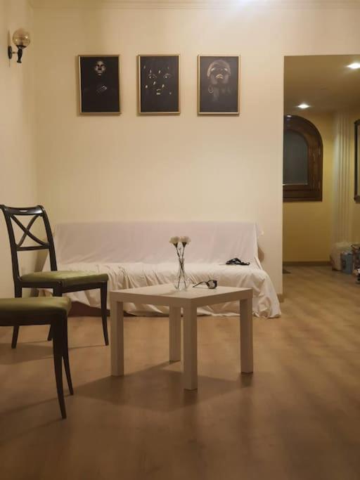 ZED PARK VIEW Top Roof Apartment Sheikh Zayed