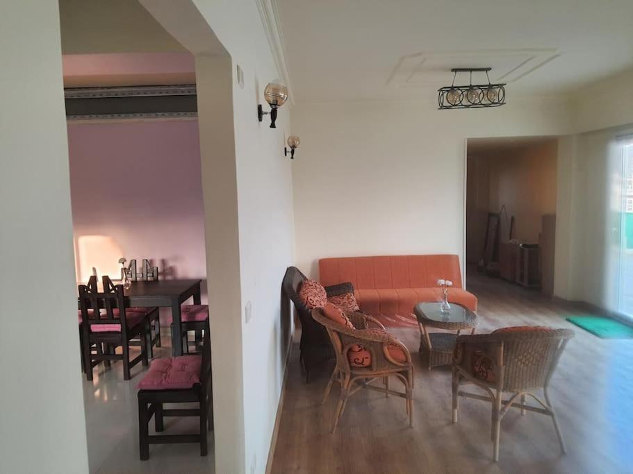 ZED PARK VIEW Top Roof Apartment Sheikh Zayed