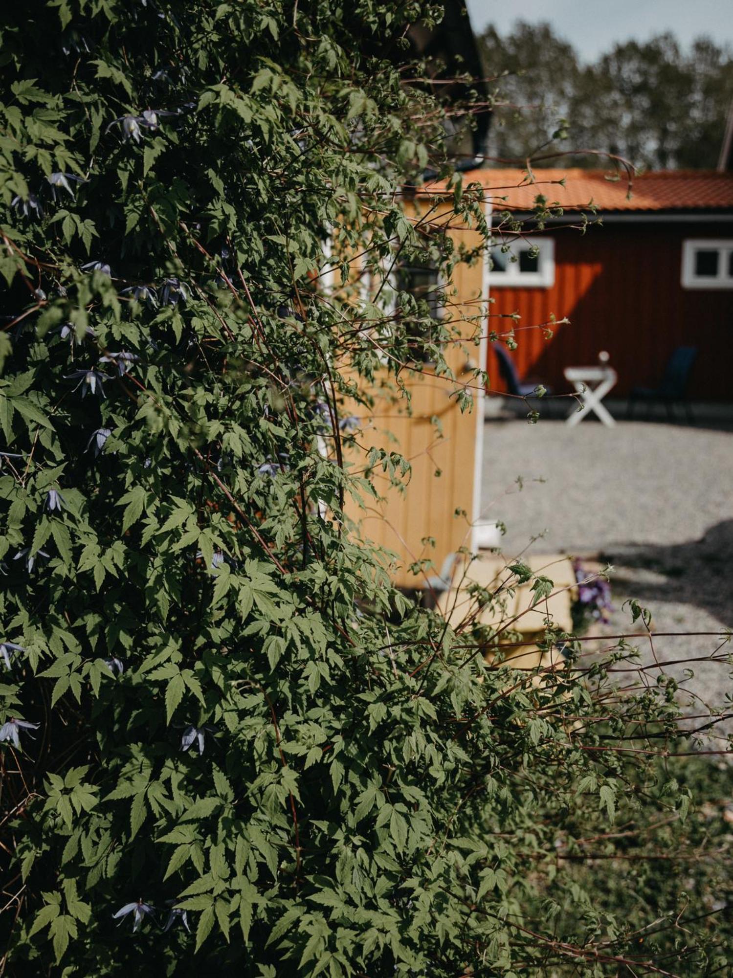 En lantlig idyll med skogen precis utanför dörren! view 2