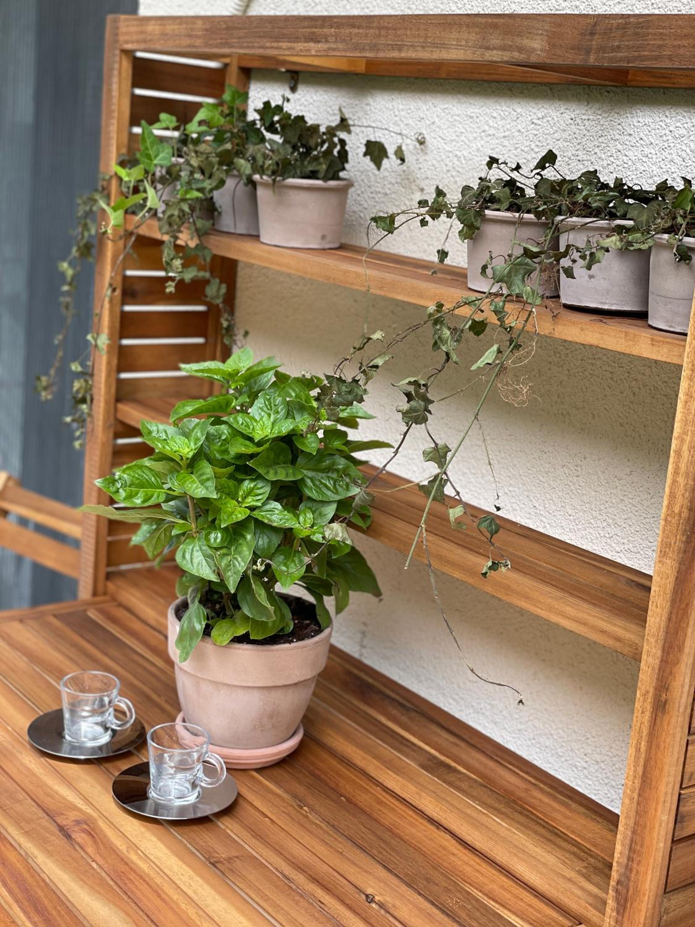 1 BedRoom Apt - Live Like A Local In Kolonaki