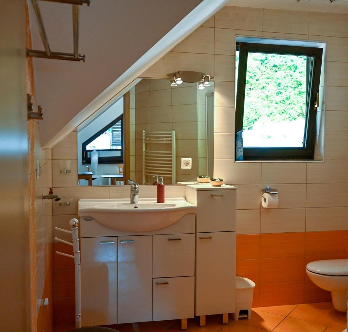 Lake View Apartment Villa Maca Bled view 5