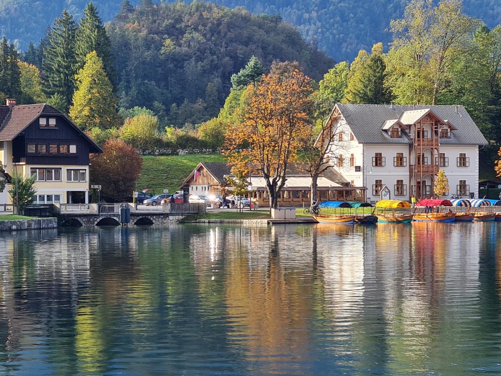 Lake View Apartment Villa Maca Bled view 4