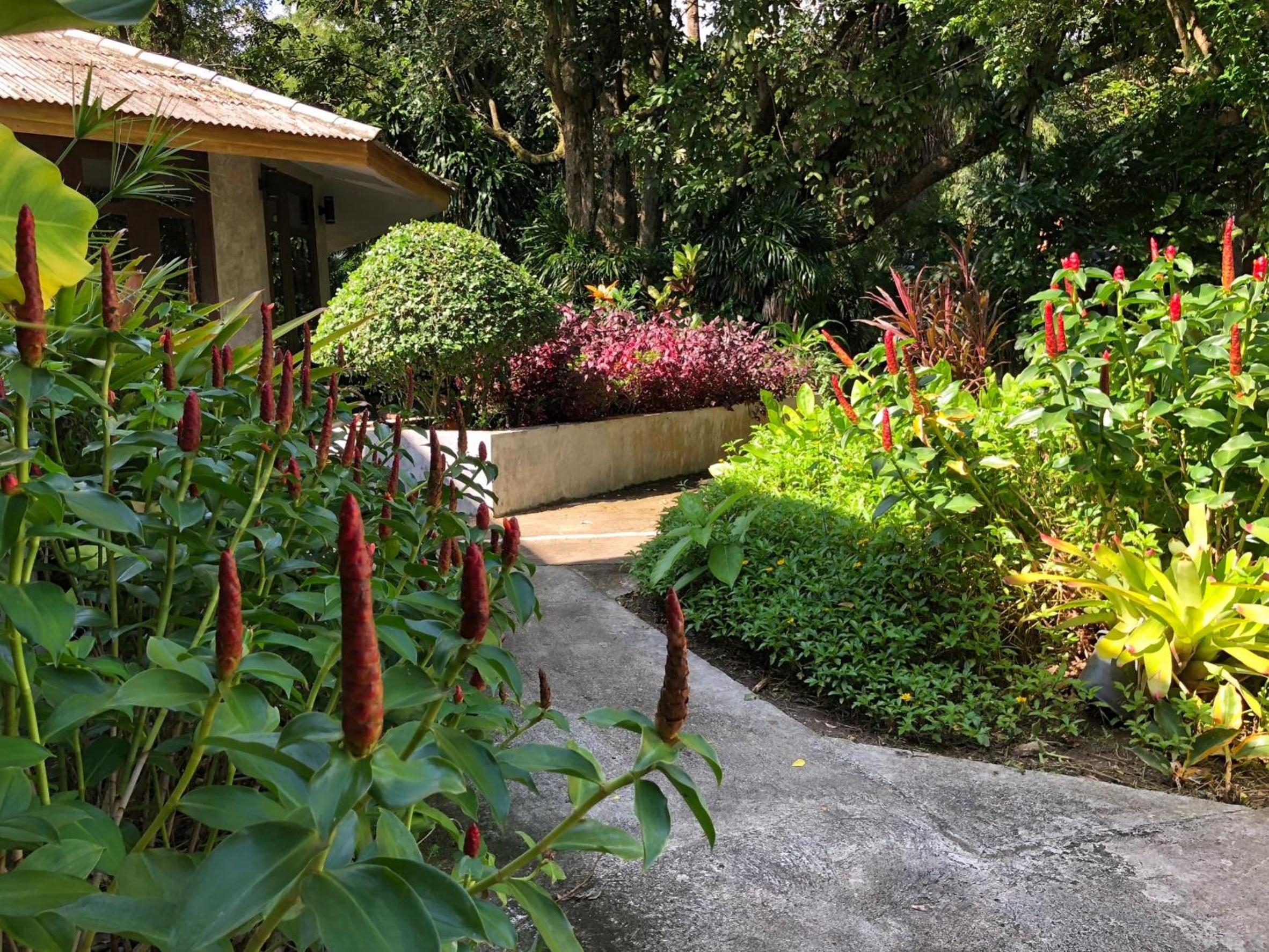 Likita Resort, photo 37