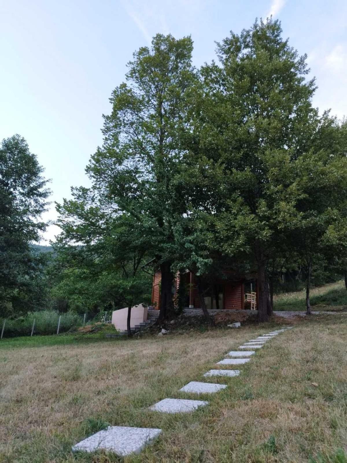 Kuća u šumi - Forest house near National park Una - Air Spa Lohovo
