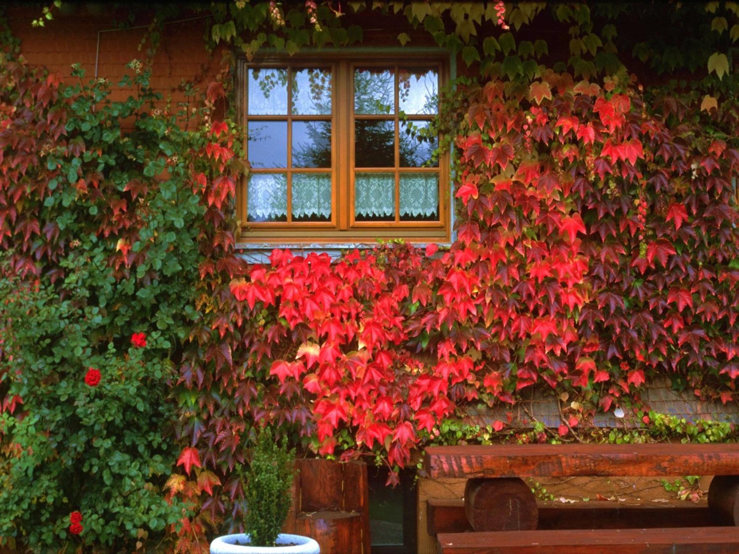 Haus Am Tannenhain
