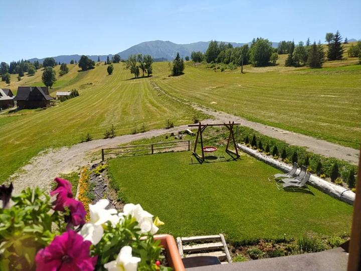Privat Bachledova dolina view 5