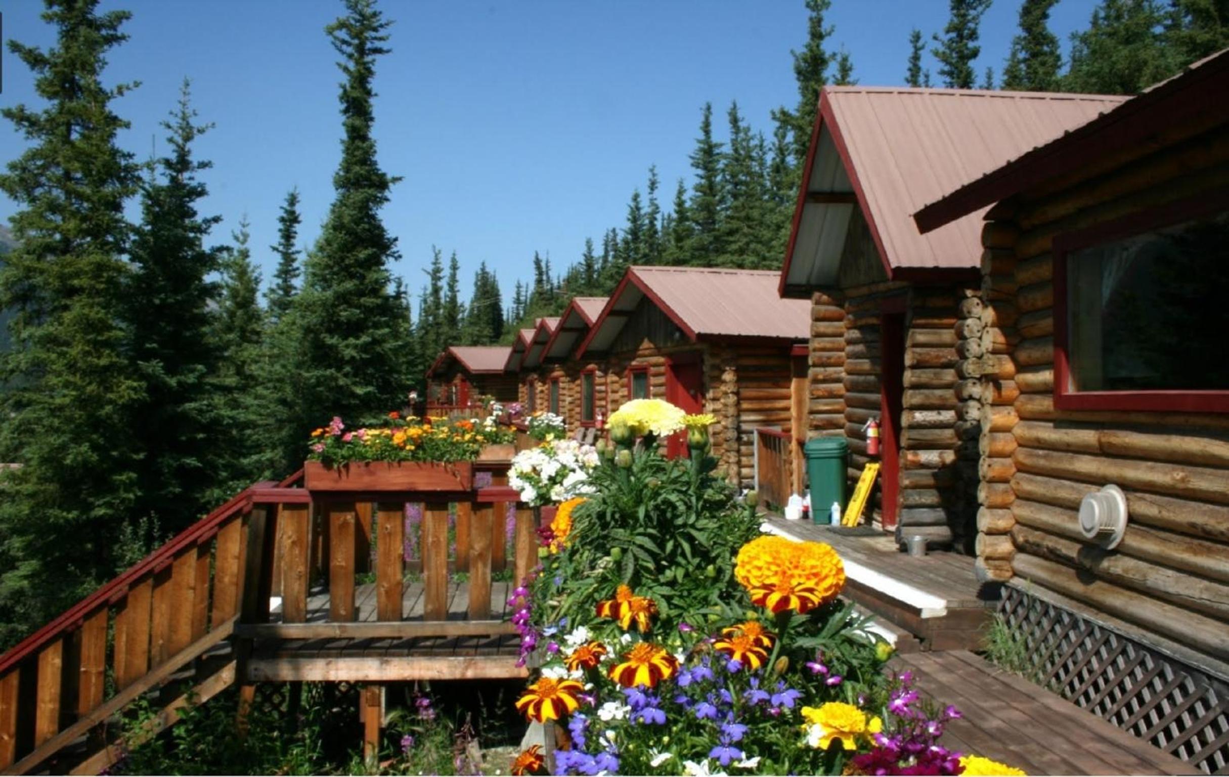Denali Crow's Nest Cabins