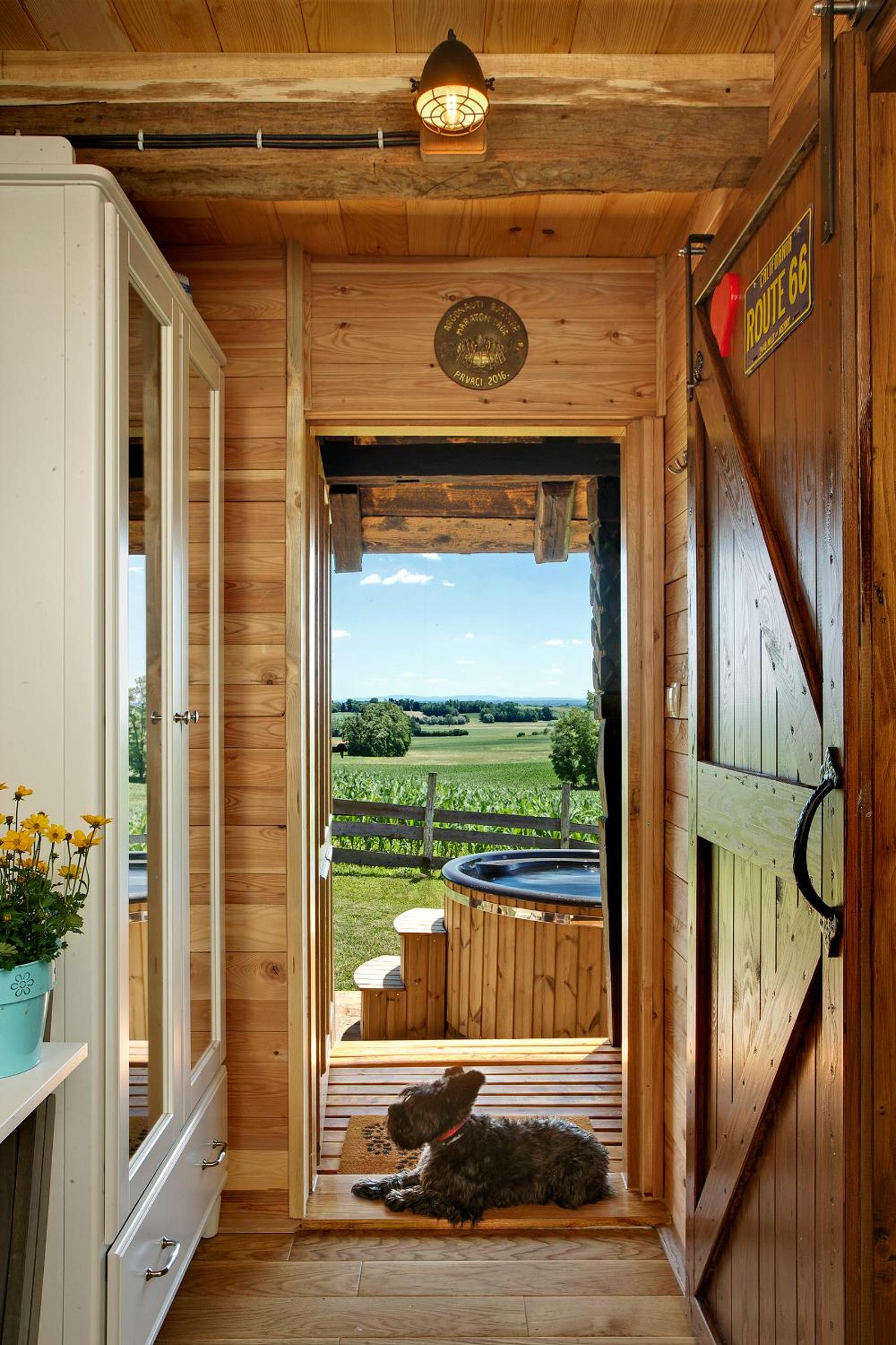 Tiny house AMBAR view 5