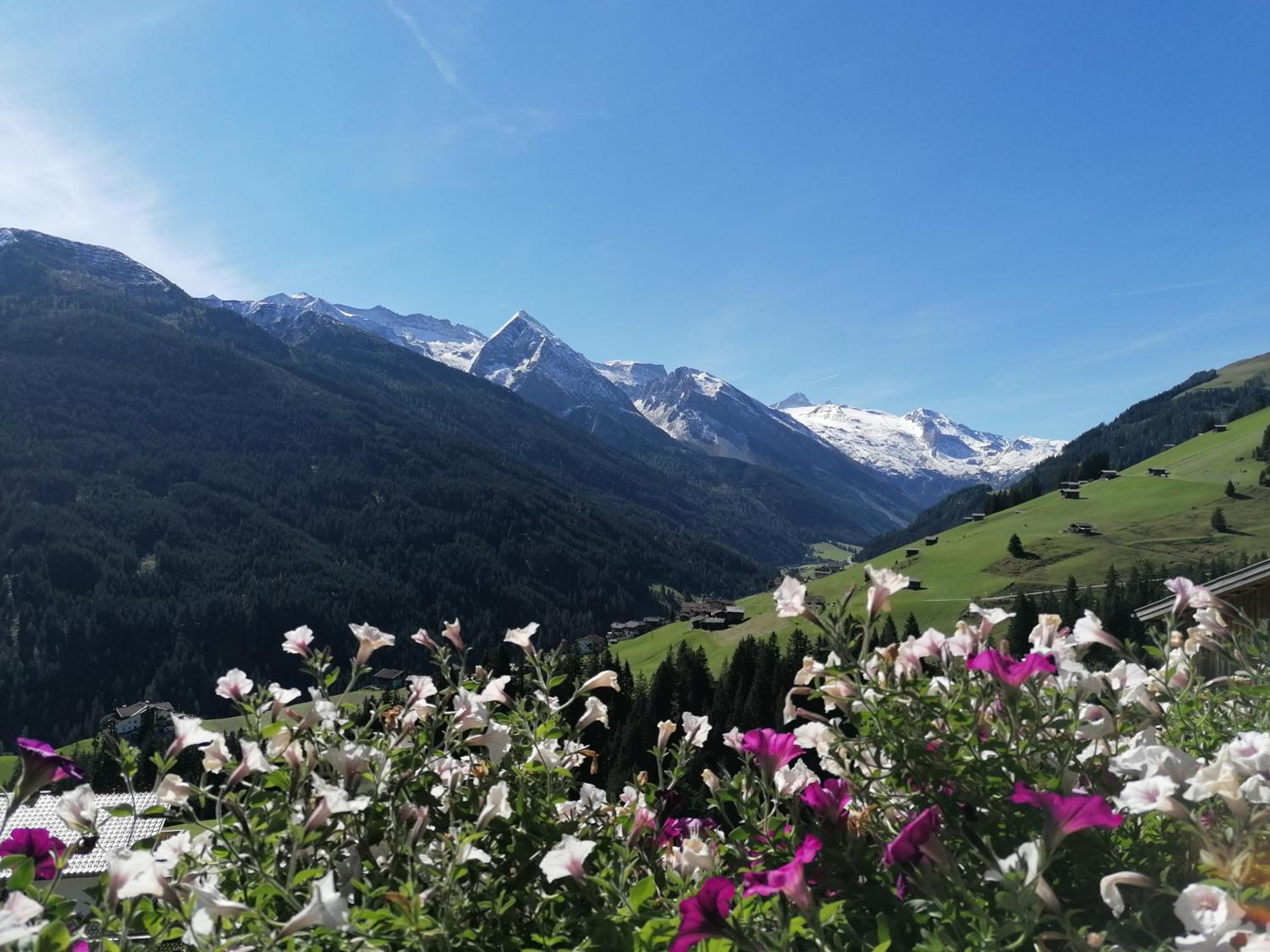 Himmenhof