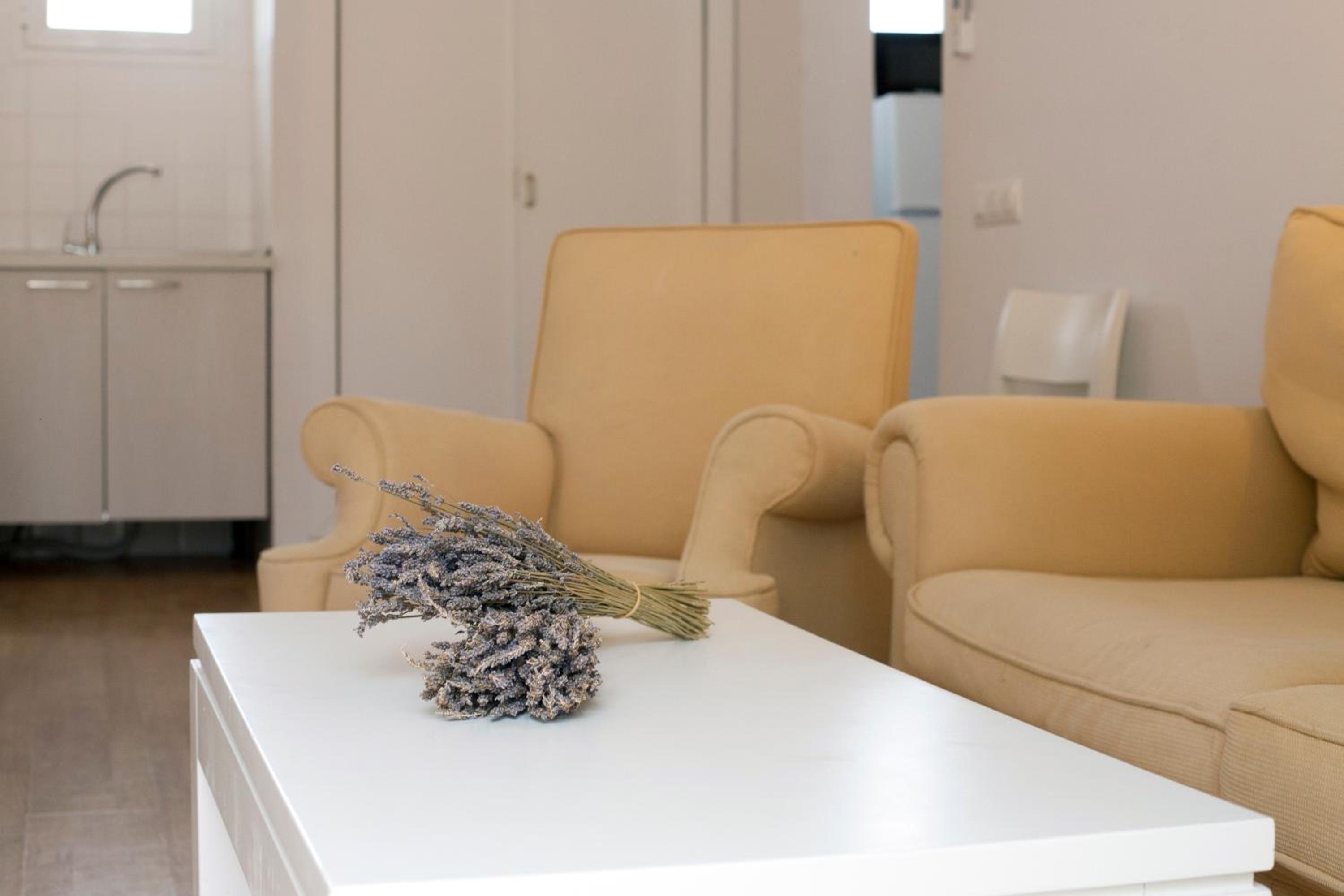 Apartamentos Vista Alegre Mallorca, photo 93