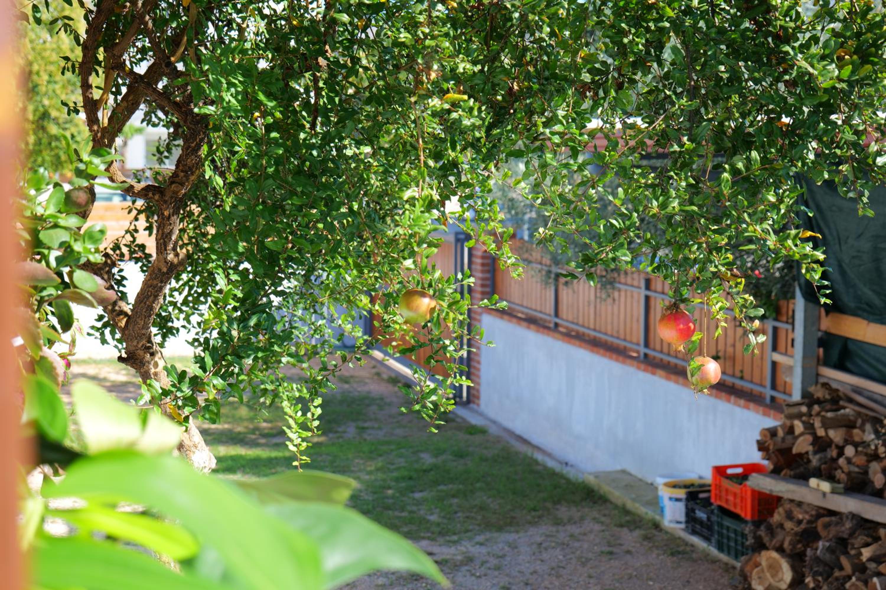 Stela Apartments