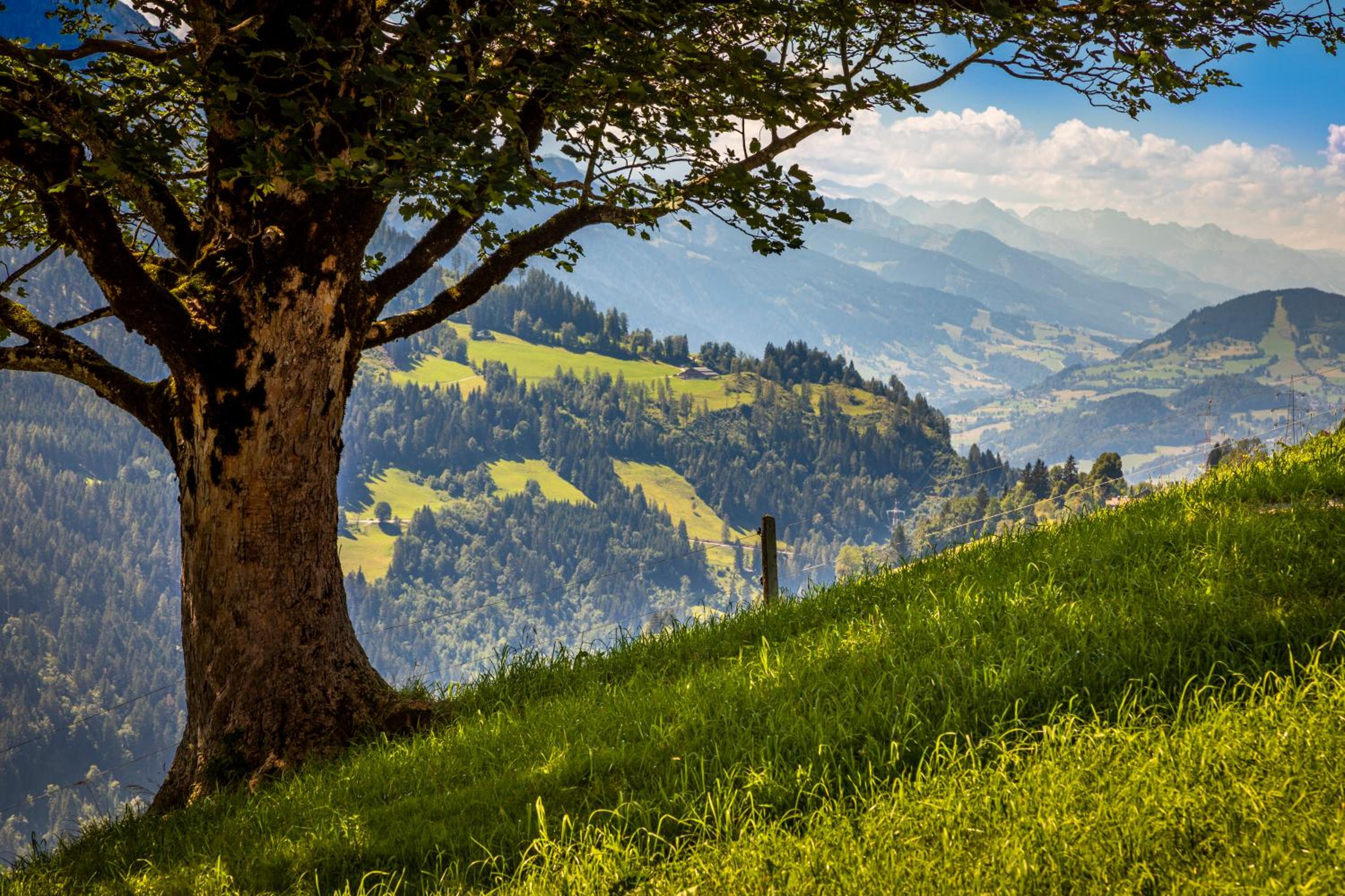 Lindbichlhof Urlaub am Bio Bauernhof