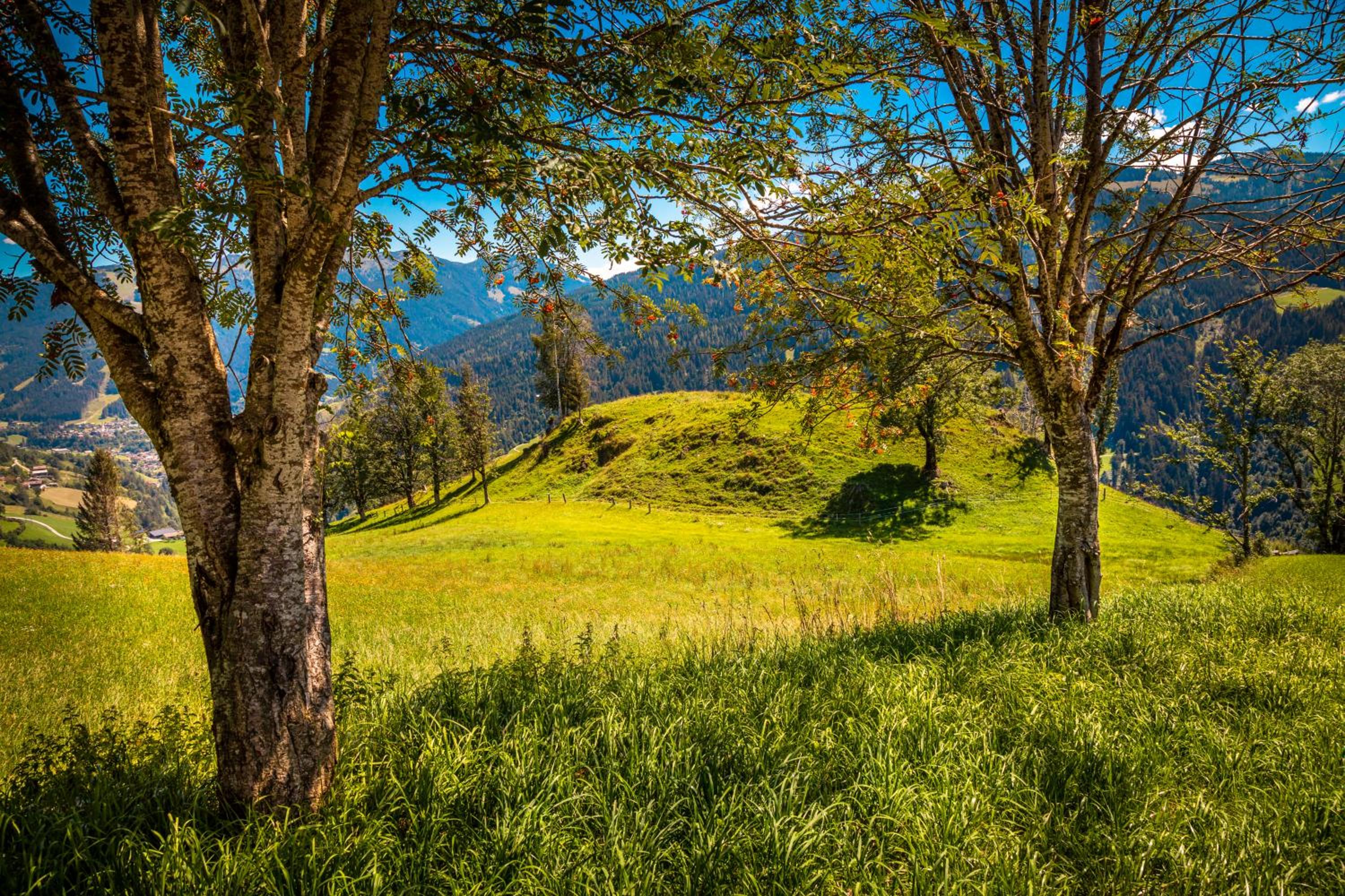 Lindbichlhof Urlaub am Bio Bauernhof