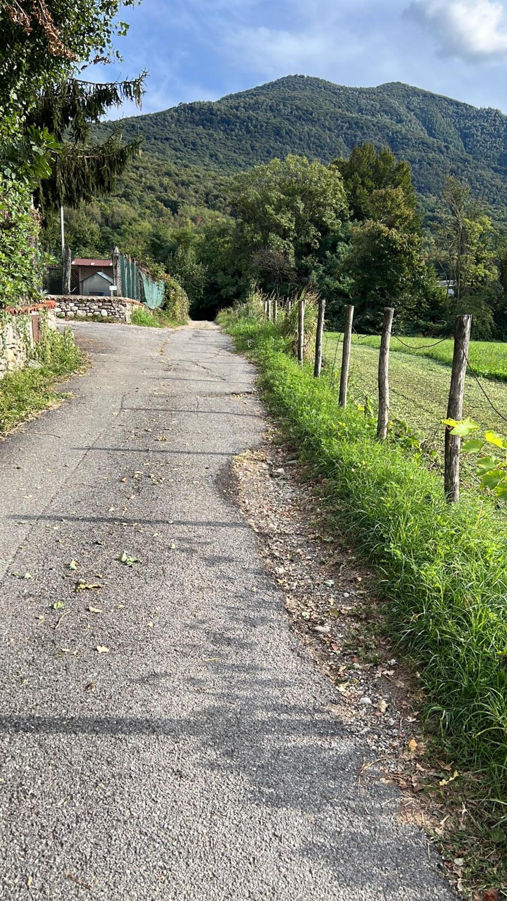 Agriturismo La Betulla