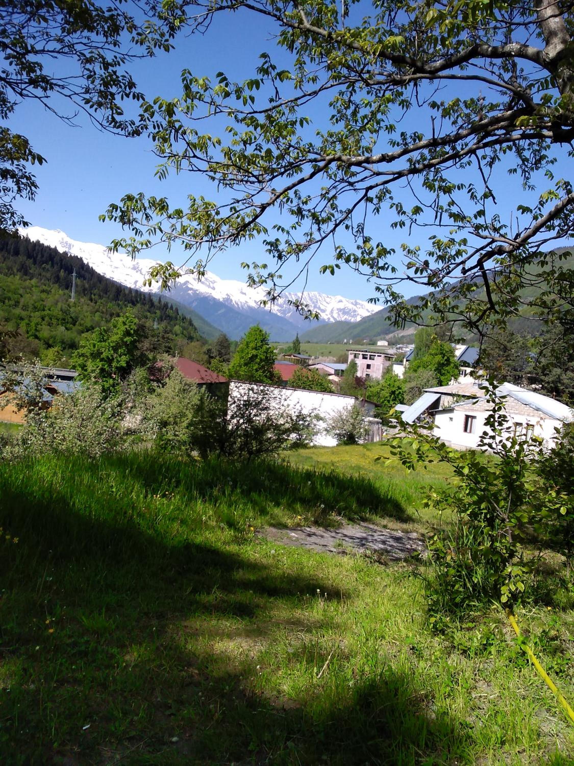Photo 38