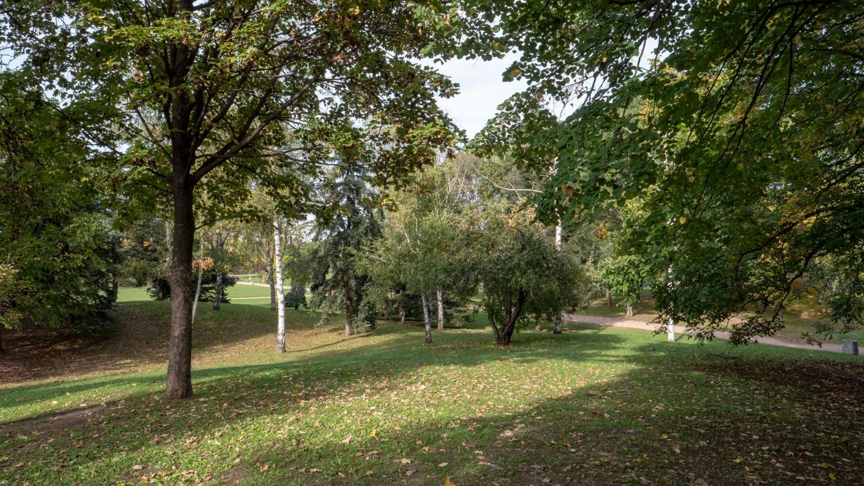 Photo 43