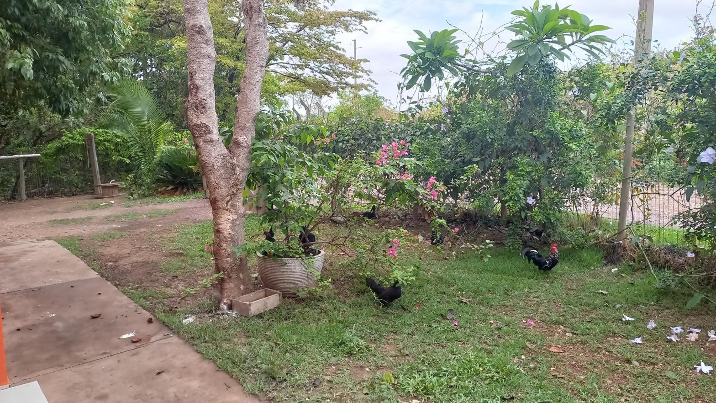 Chácara Pousada Sagui
