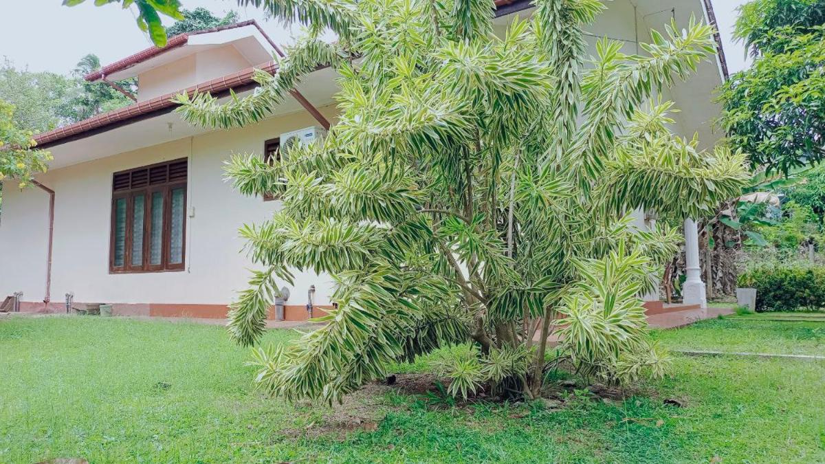 Rathna Villa view 5