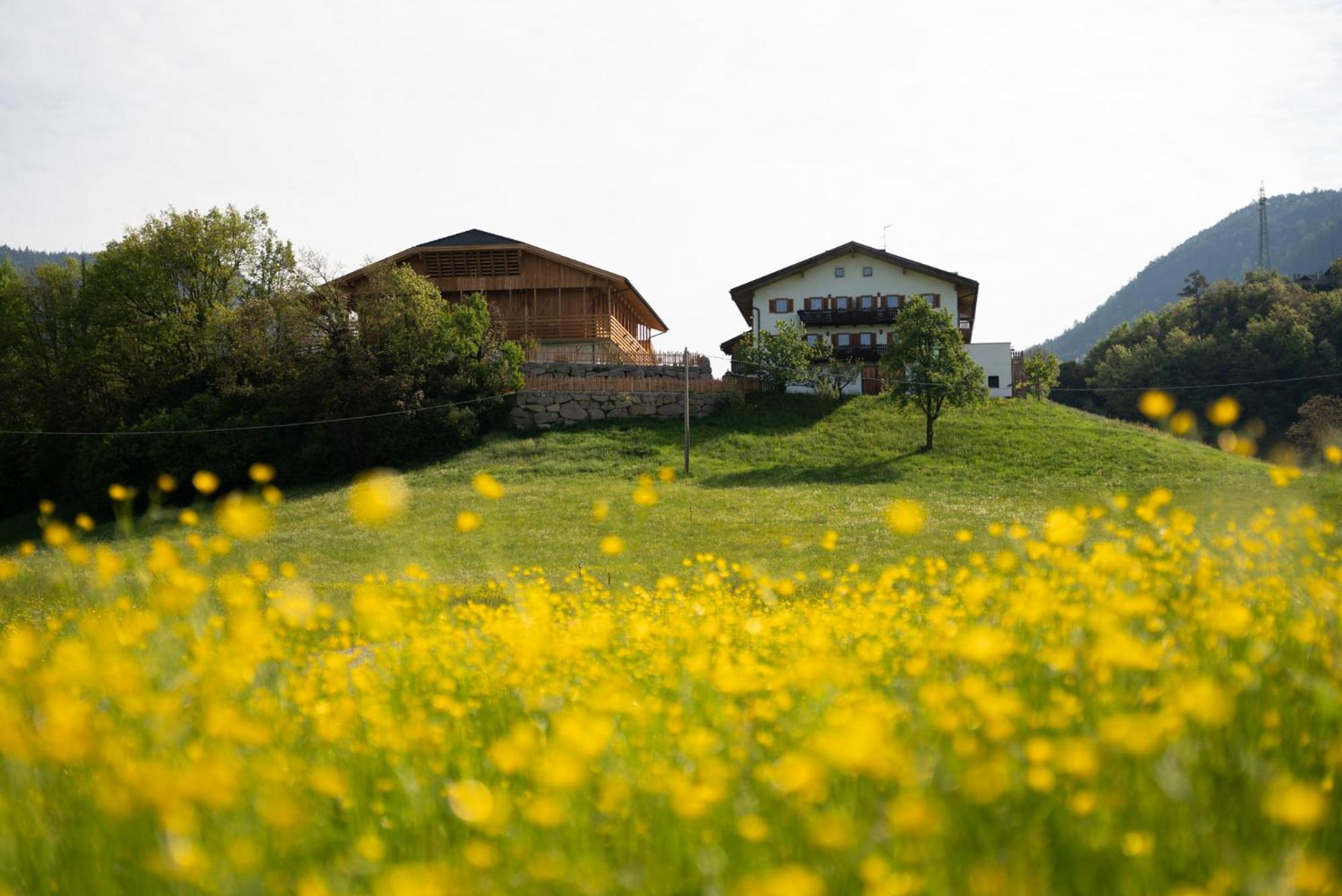 Fortschöllhof view 3