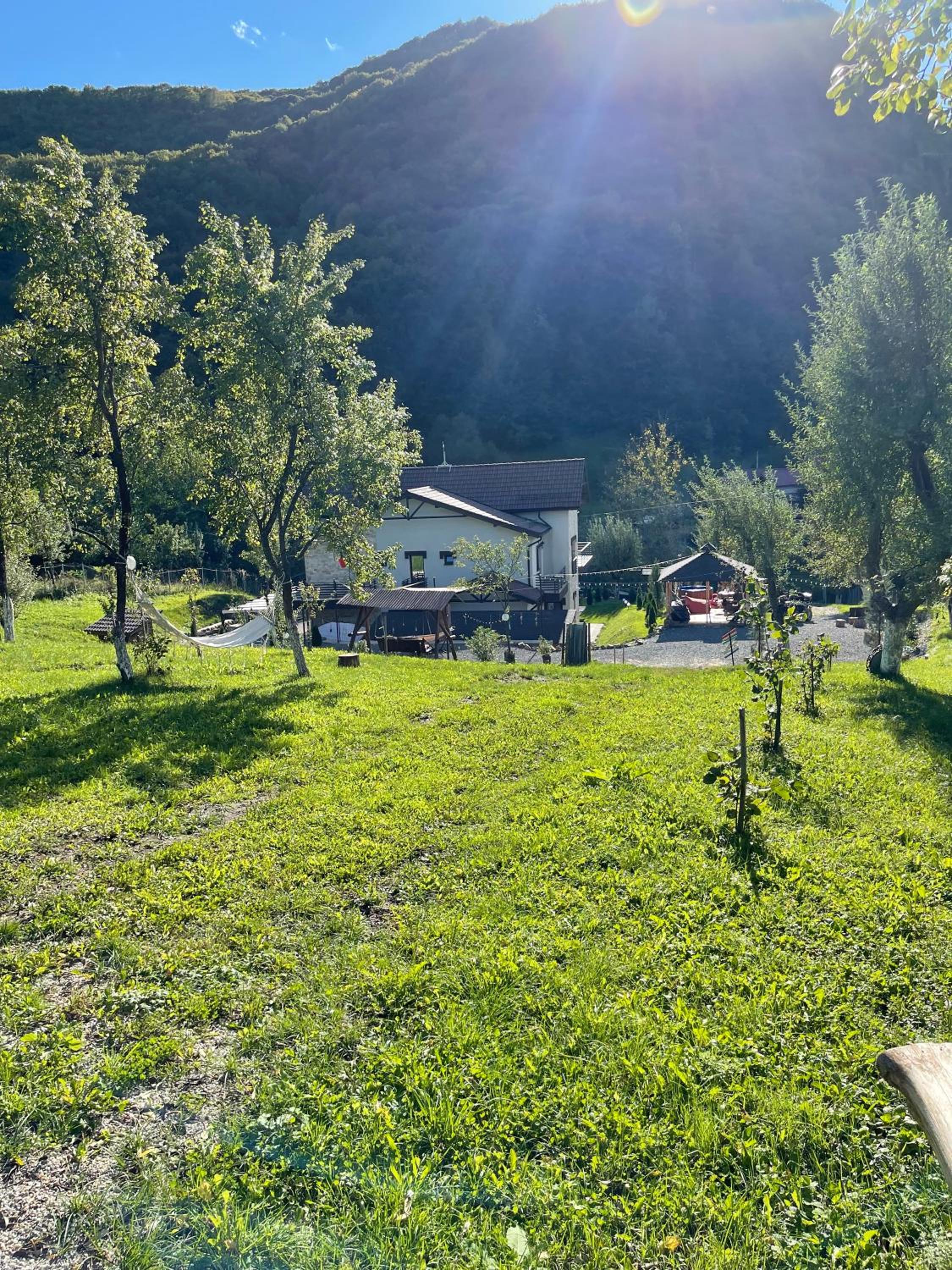 Photo 49