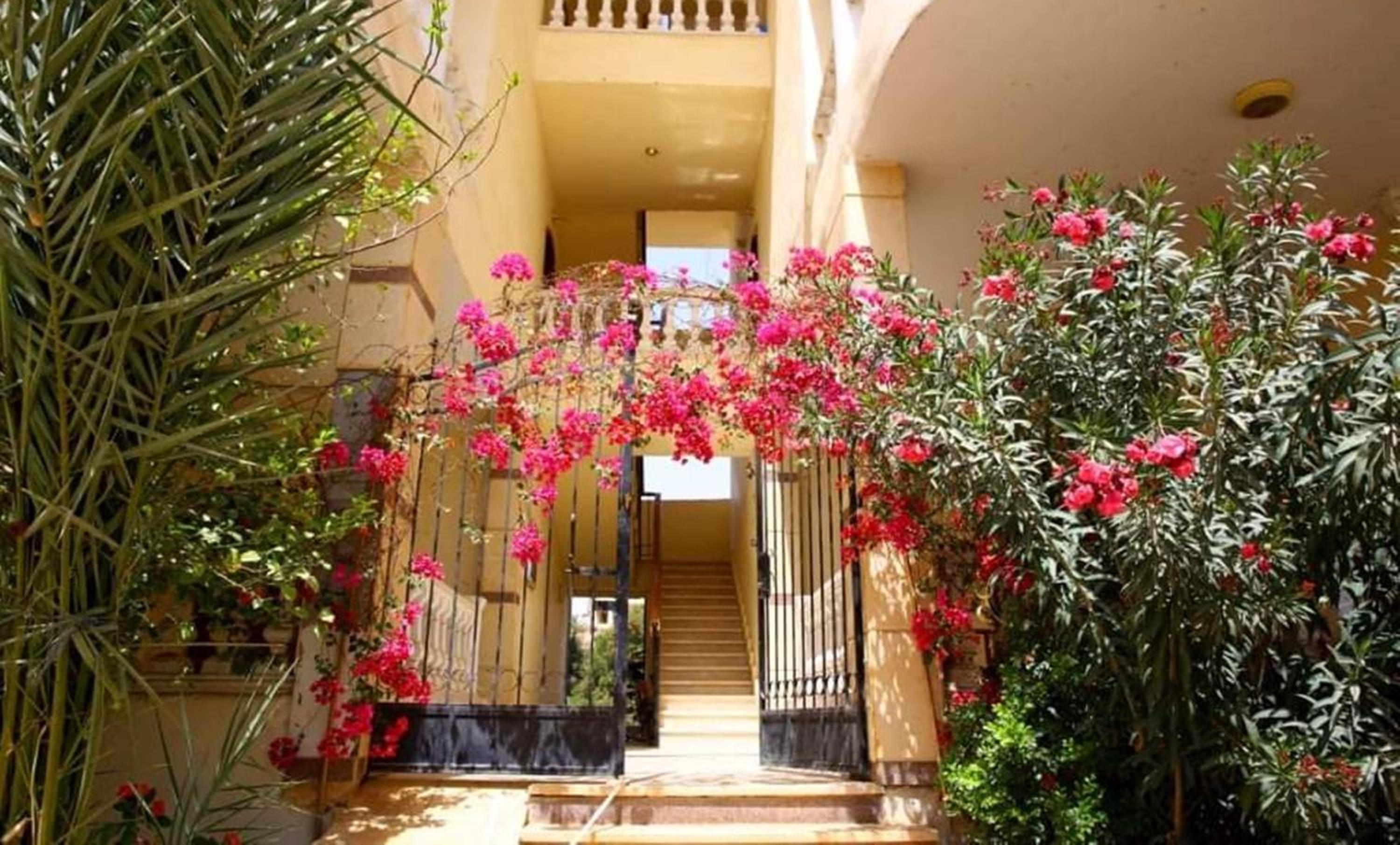Egypt sun accommodation Spiritualities