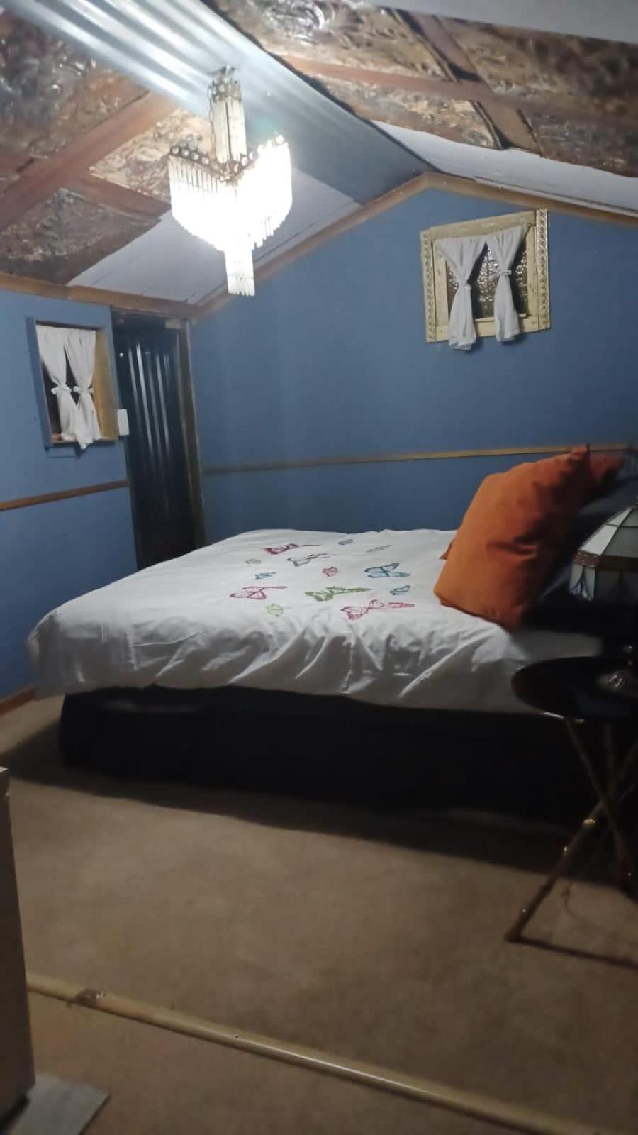 The shack life view 4