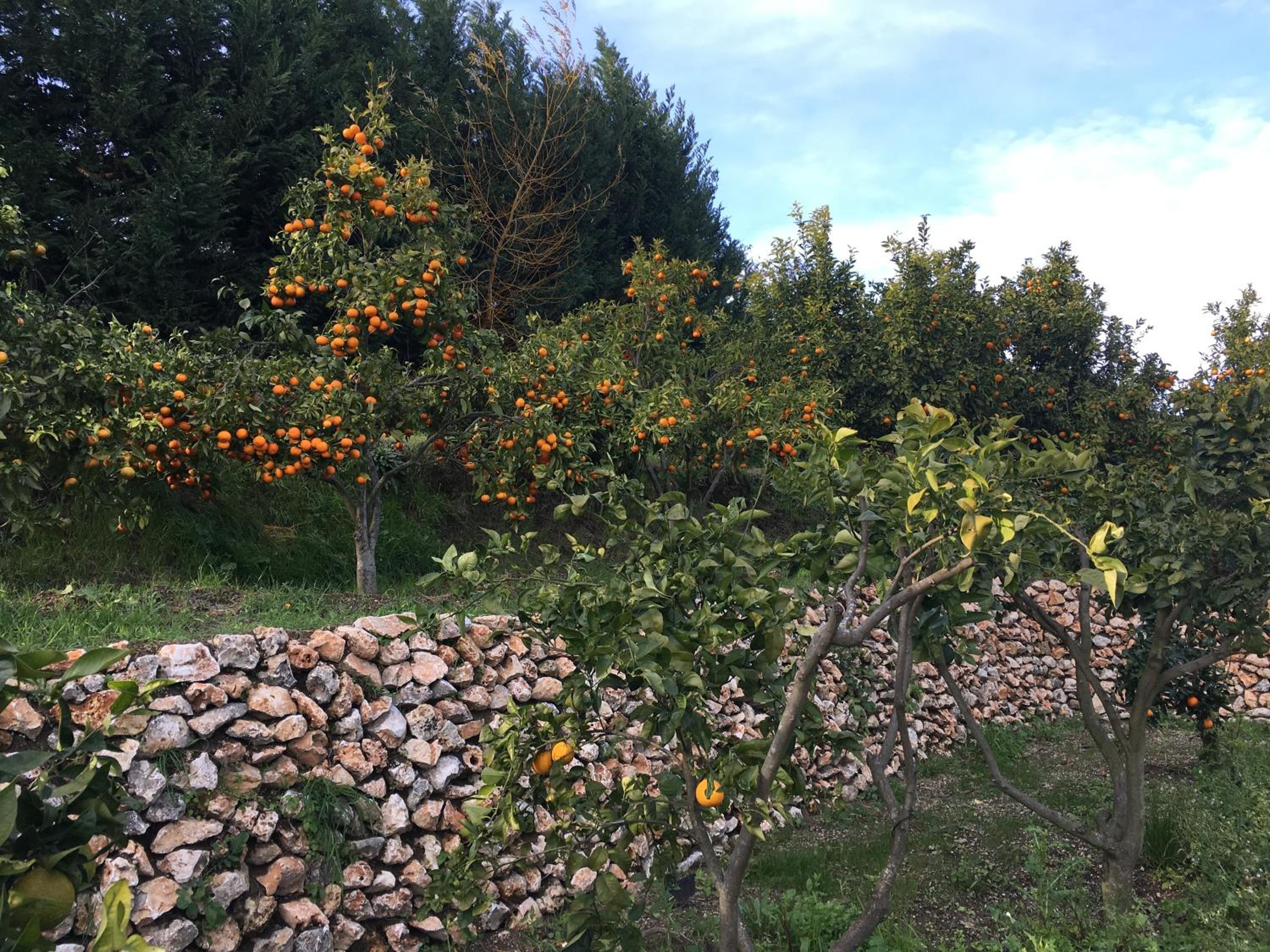 La Tenuta Michele