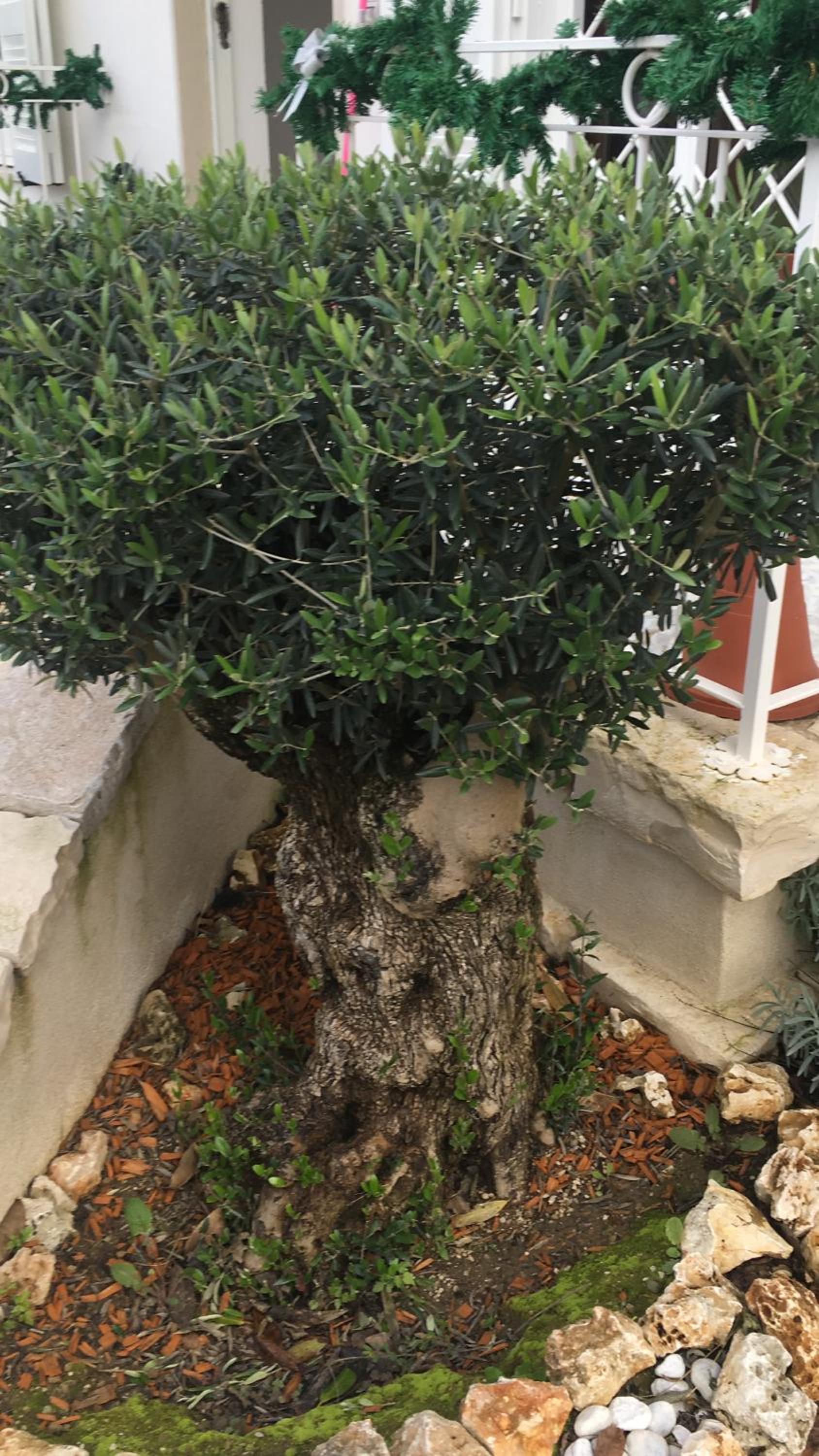 La Tenuta Michele
