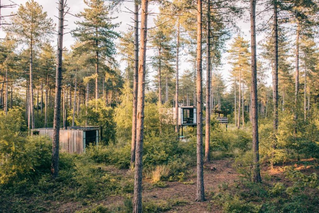 Recreation Park Warredal